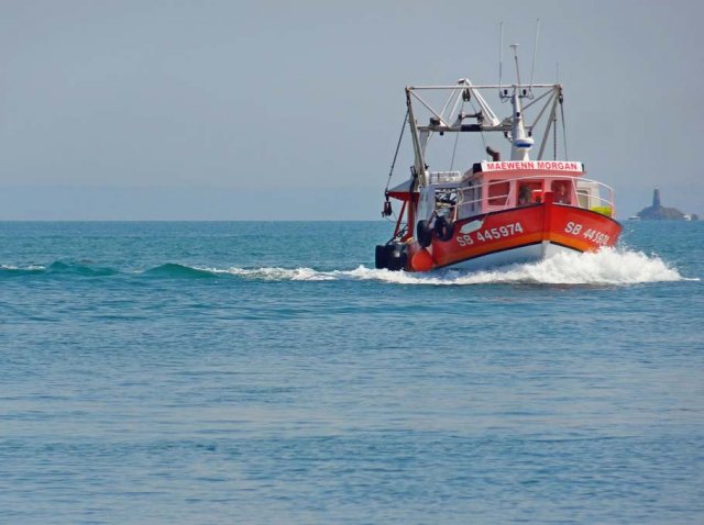 Sortie en mer